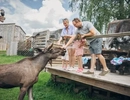 Familj vistas på Älghotellet hos Wrågården.