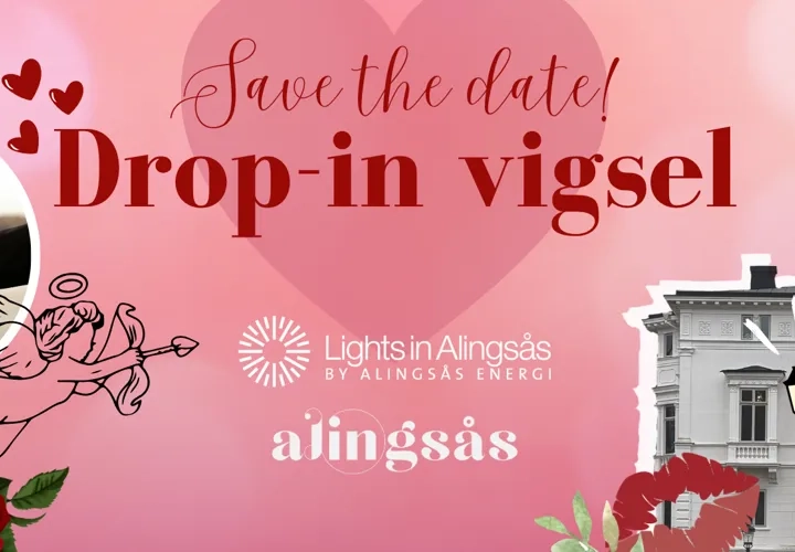 Drop-in Vigsel på Nolhaga slott