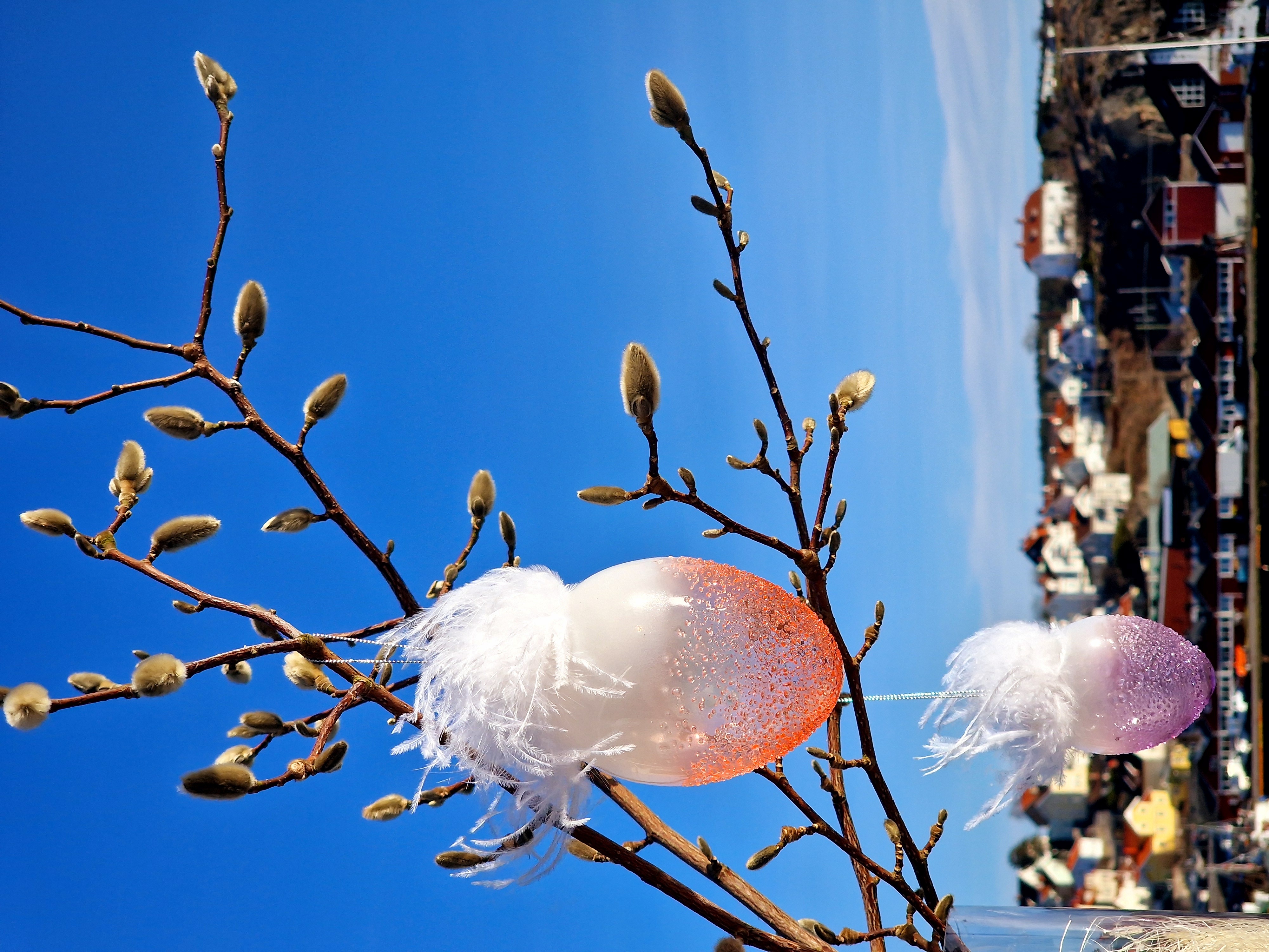 Påskbrunch Laholmen