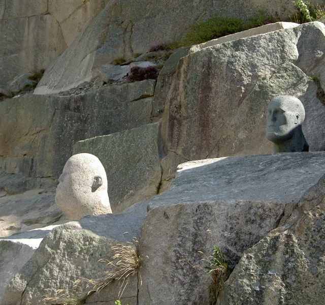 Några djur som sitter på några stenar.