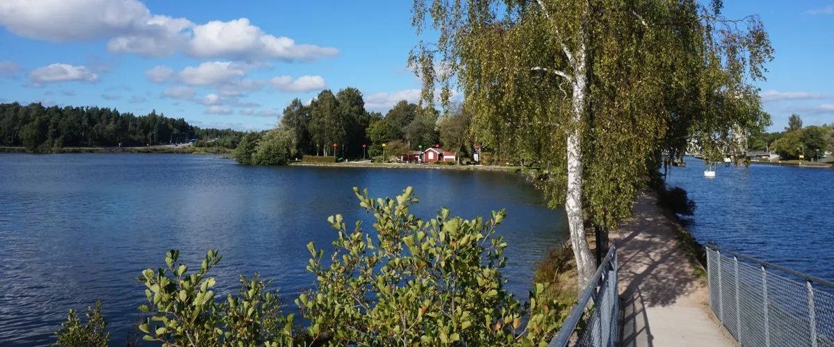 Spikön