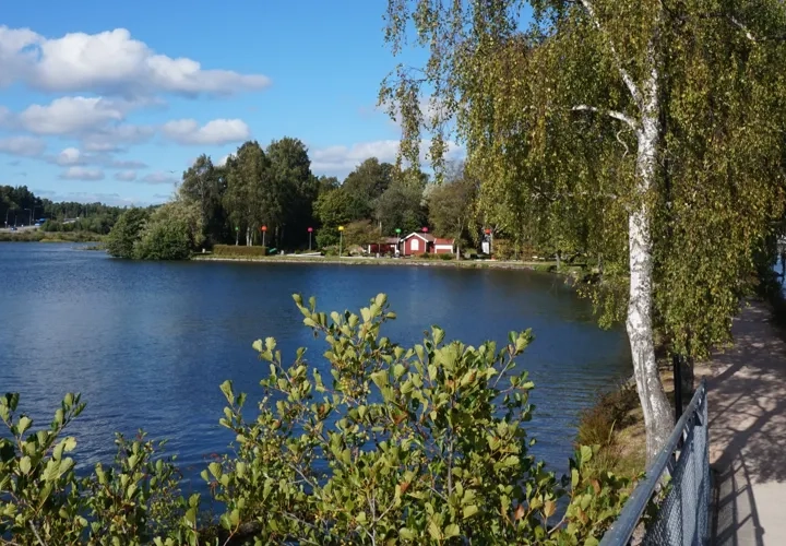 En stor vattensamling omgiven av träd.