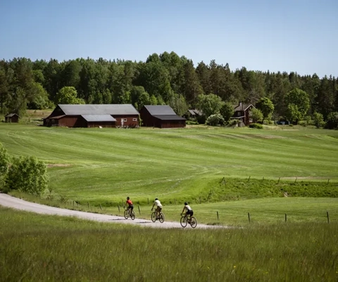 Cyklister på en grusväg i skogen.