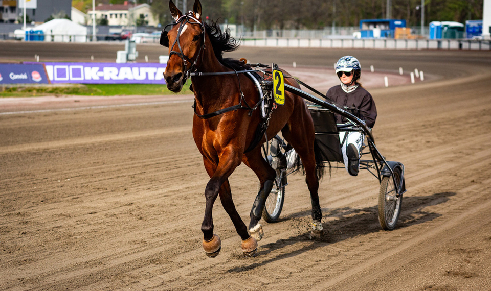 Travhäst med kusk tävlar på Åbytravet