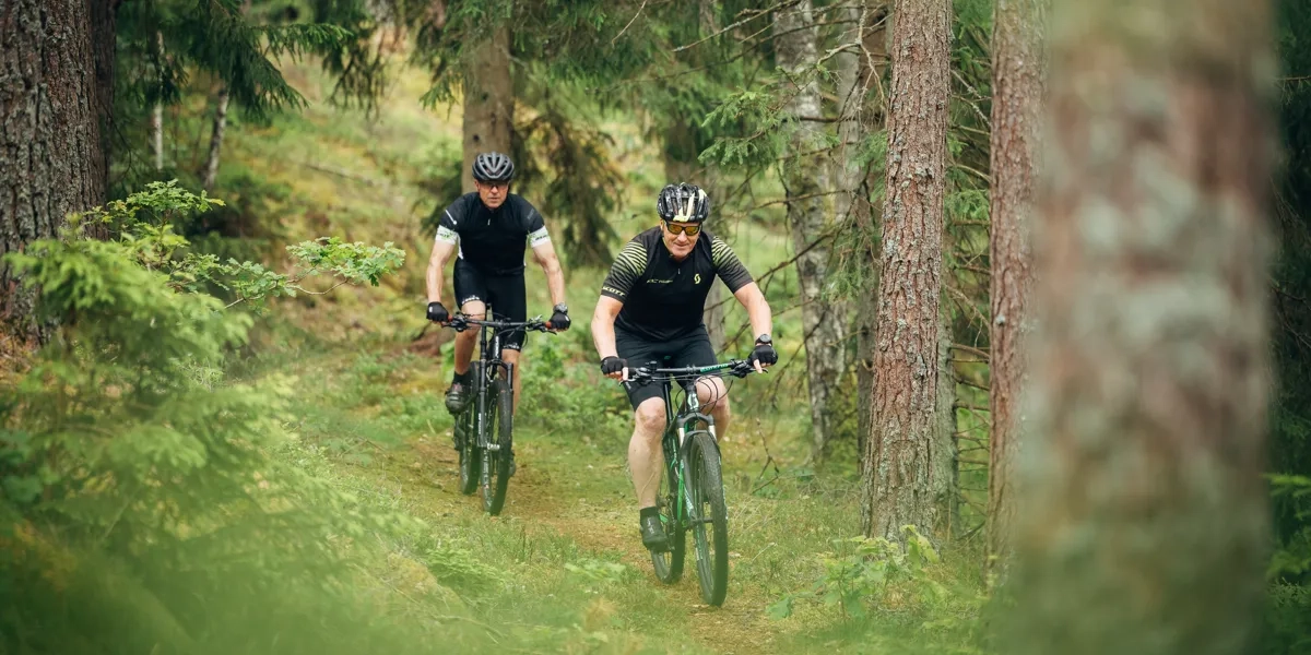 Människor som cyklar i ett naturområde.