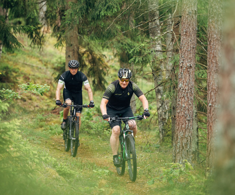 Människor som cyklar i ett naturområde.