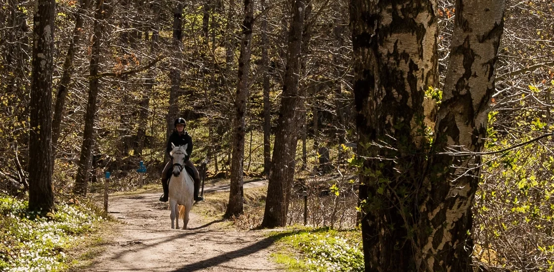 Ridande flicka i i naturreservatet Vägeröds dalar, Skaftö