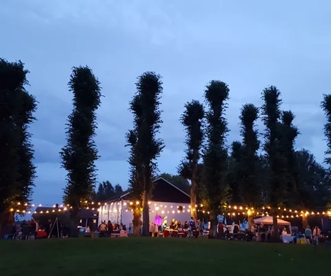 Åmåls Ljusfest