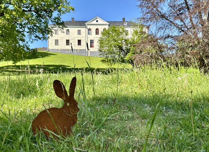 Hitta djuren i slottsparken 
