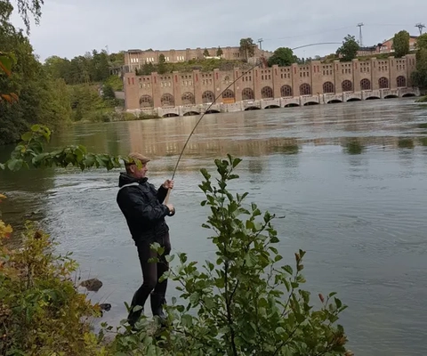 En man som fiskar på en flod med en bro i bakgrunden.