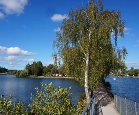 En stor vattensamling omgiven av träd.