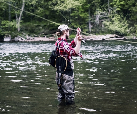 Flugfiskare i Dalsland.