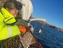 En kvinna i gul jacka håller i ett fisknät.