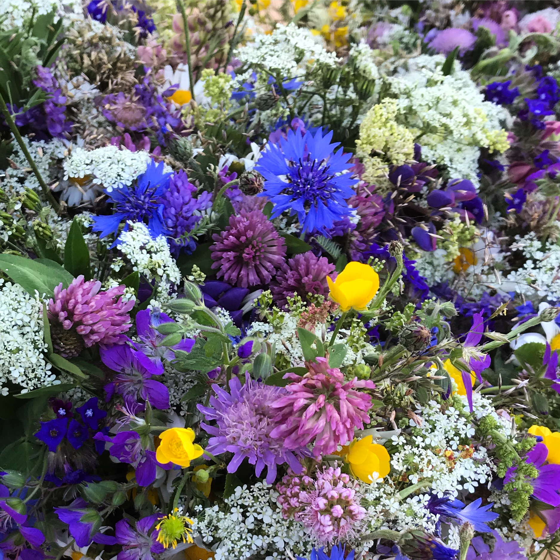 Midsommarfirande
