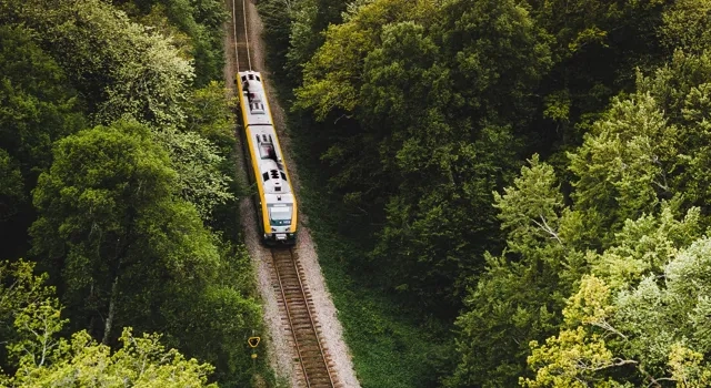 A train traveling through a lush green forest.