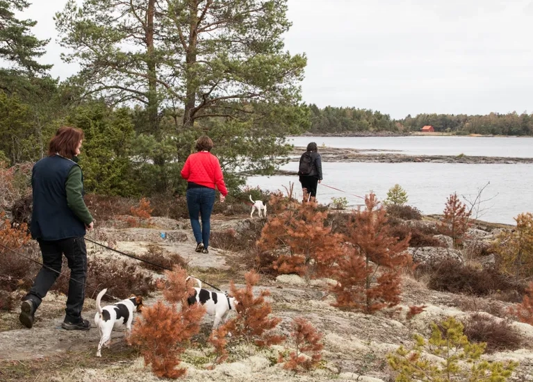 Vandring på Kinneviken