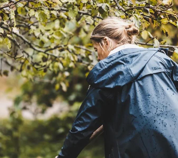 Miljöer hos Kosters Trädgårdar