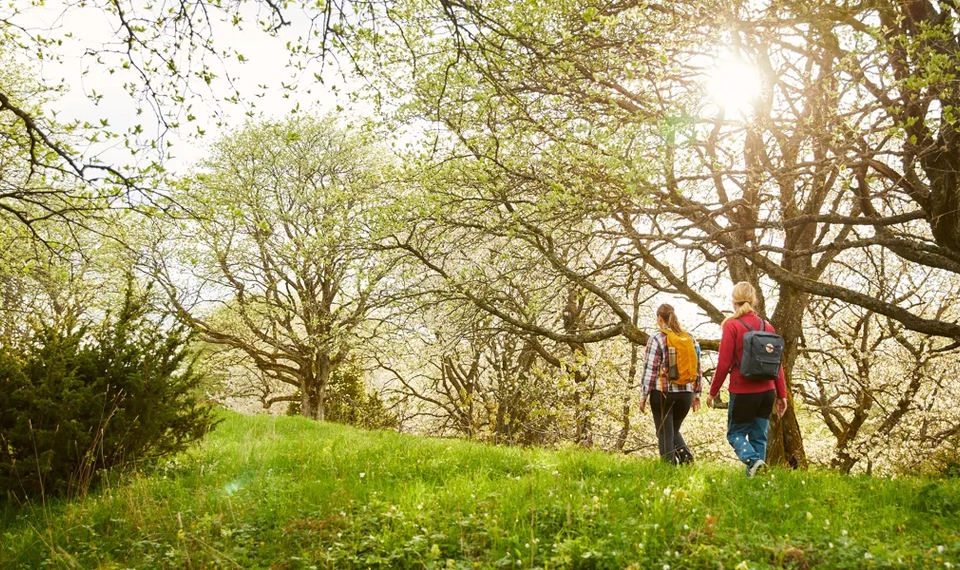 Några människor som går på en grönskande ås.