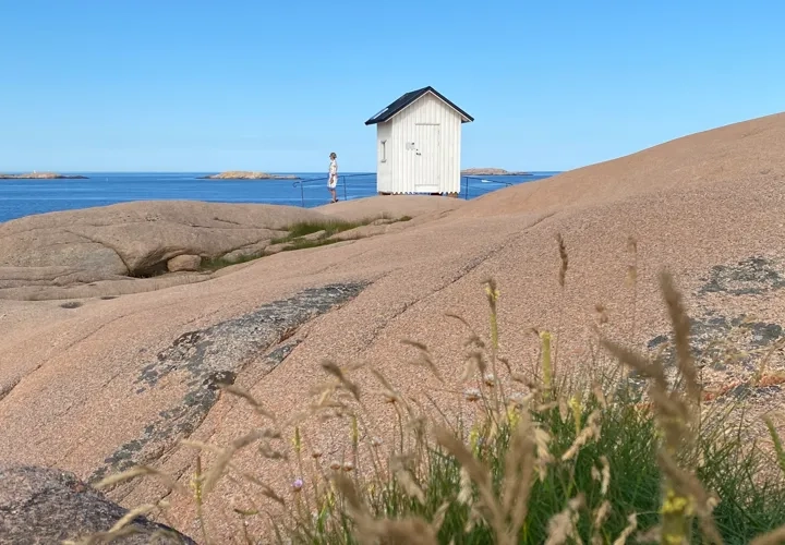Stångehuvud