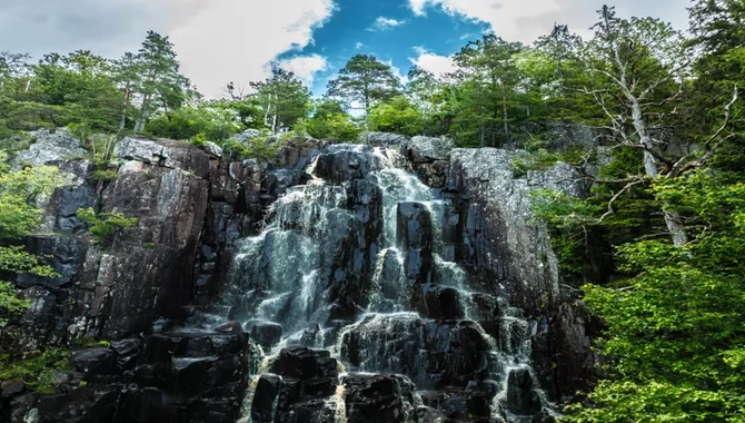 Miljöer på platåbergen Halle- och Hunneberg.
