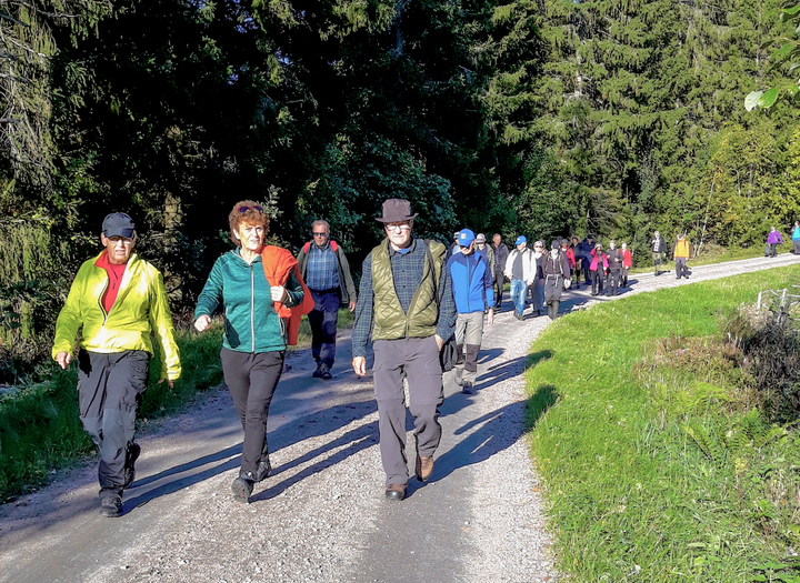 Höstvandring i Timmele