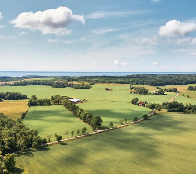 Människor som vandrar.