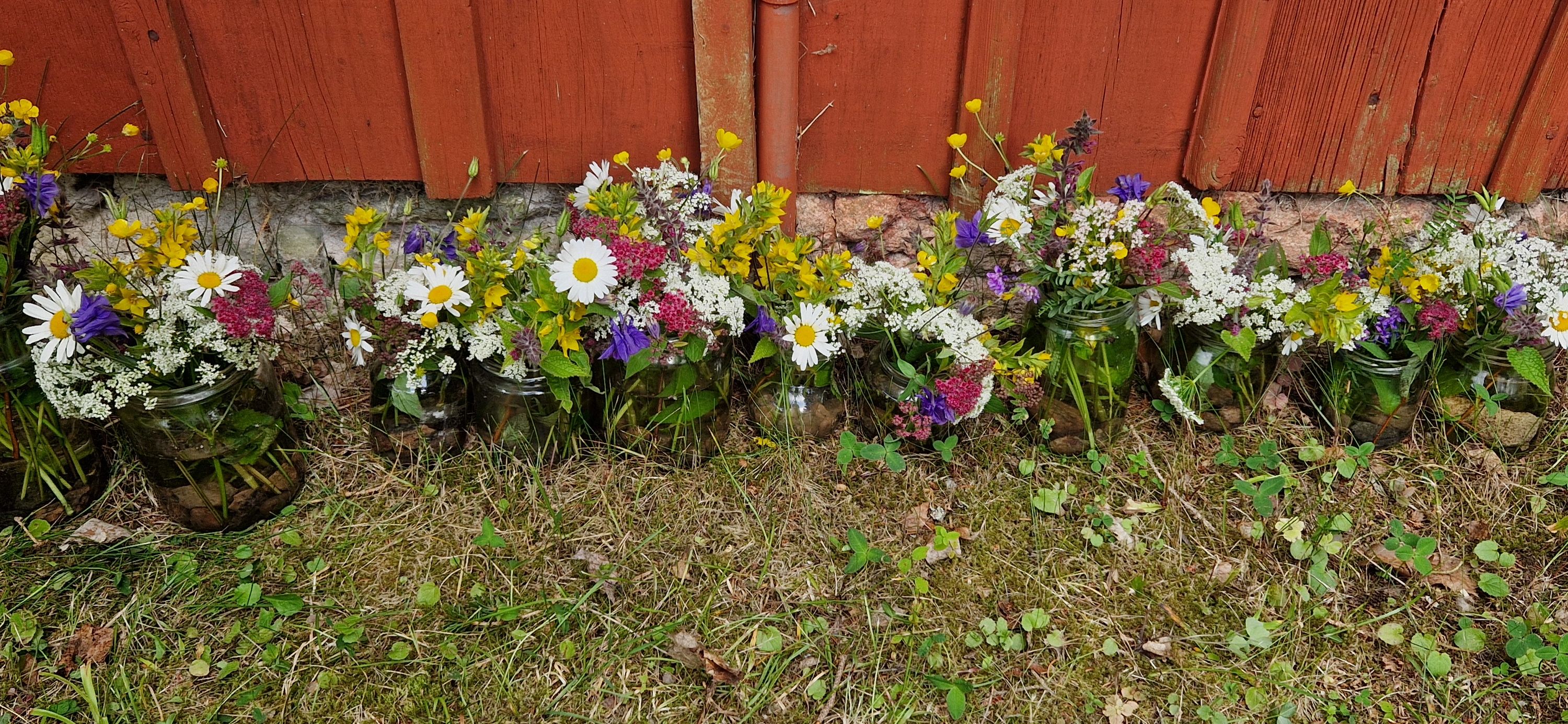Traditionsenligt midsommarfirande i Brobacka
