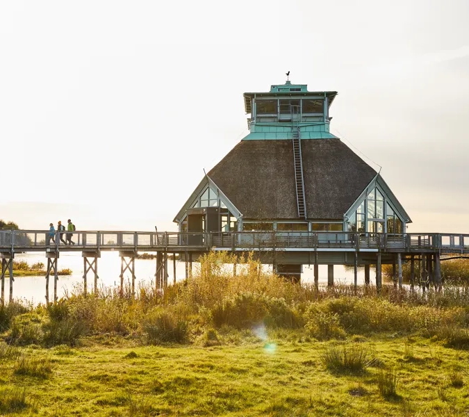 Vandring vid Hornborgasjön