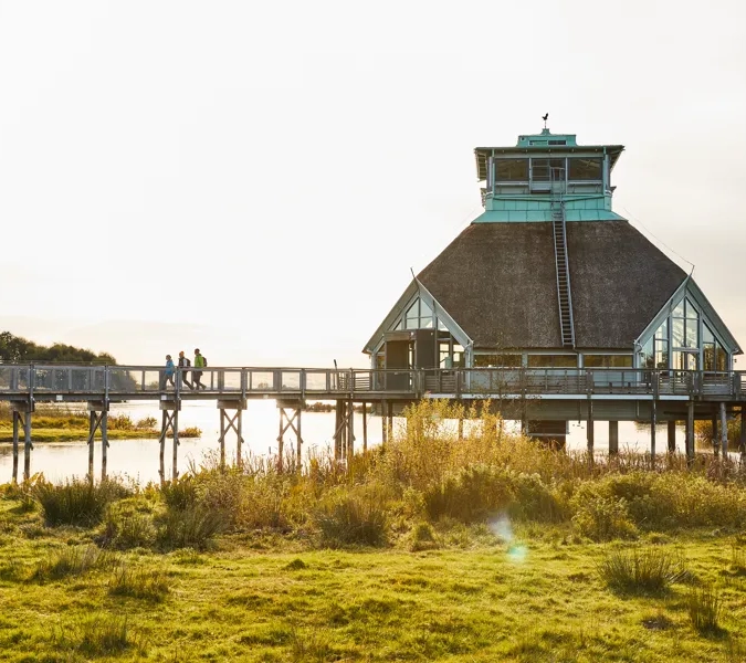 Vandring vid Hornborgasjön