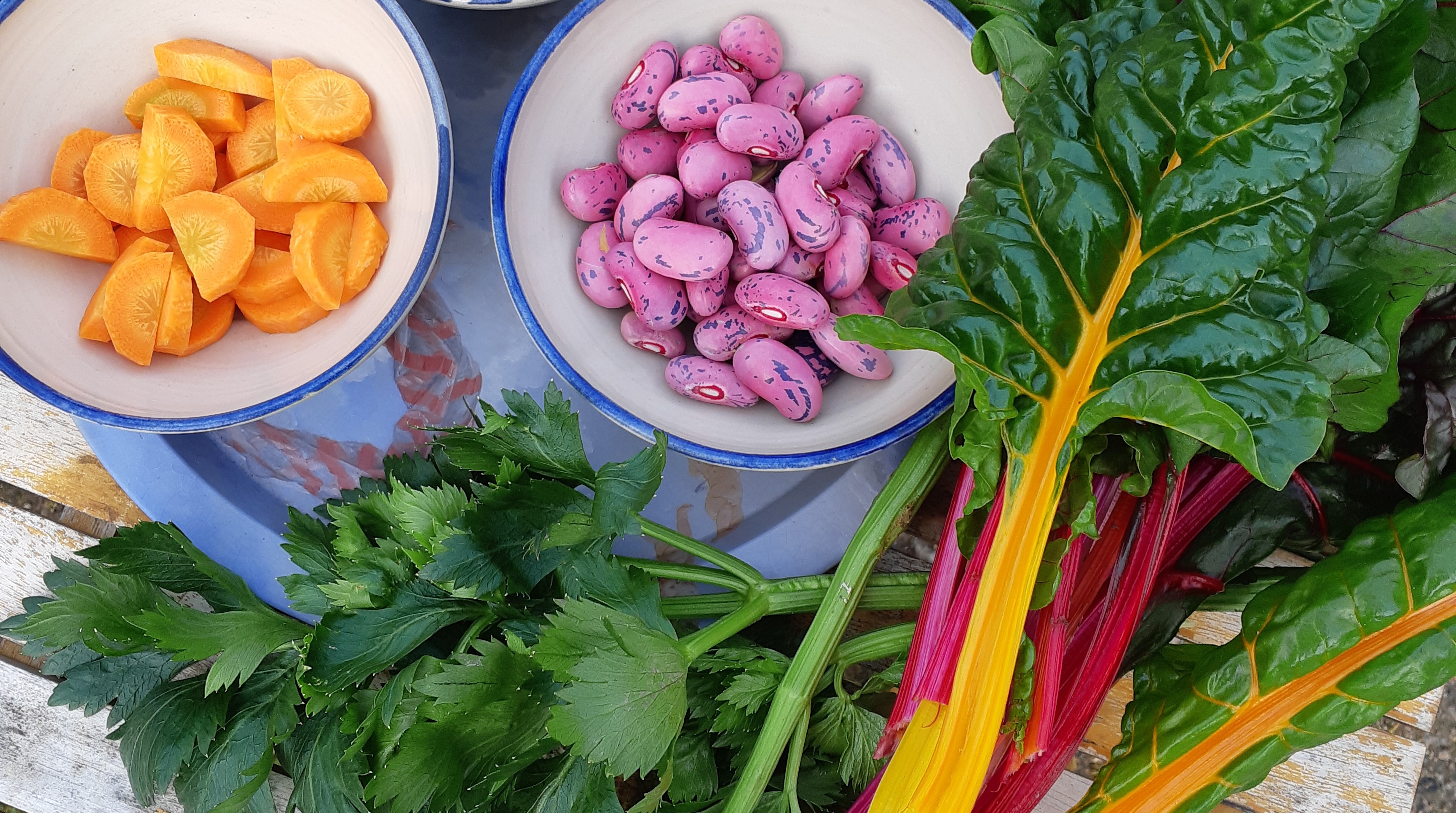 Odla ätbart - Hållbart och Resurseffektivt!