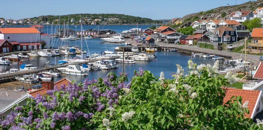 Allsång på Seaside Björkö
