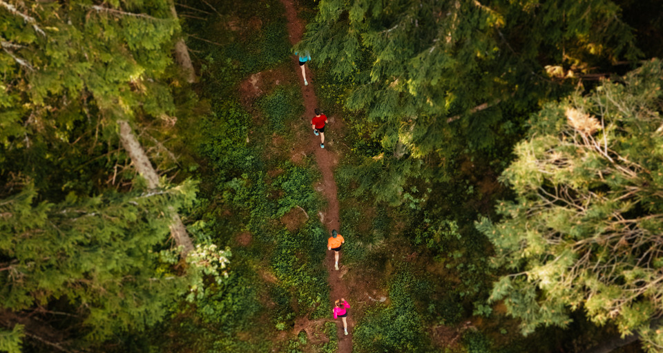 En grupp människor som springer genom en grönskande skog.
