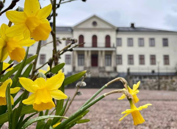 Påsklilja framför Nääs slott