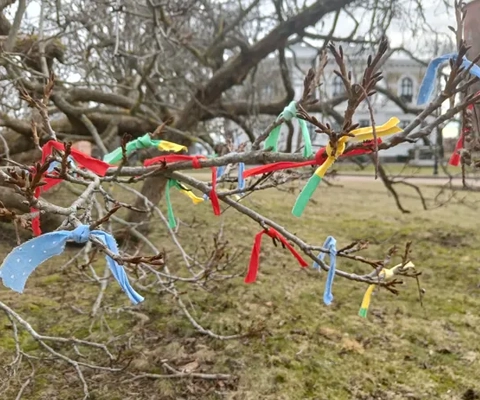 Färgglada tygband fastknutna i grenar i ett träd.
