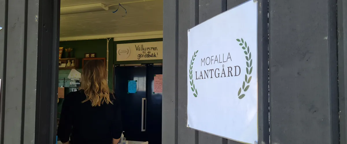 Mofalla Lantgård - Öppet hus