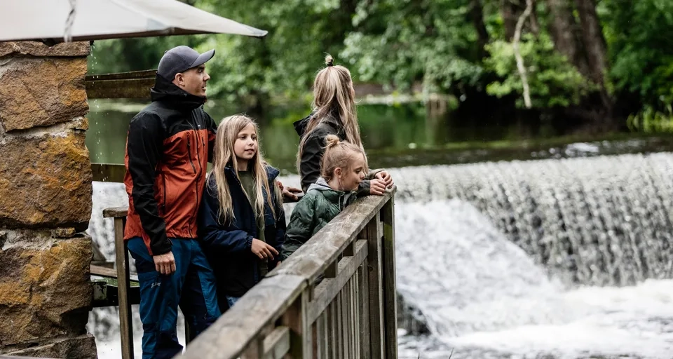 Kvinna, man och två barn som står på en terrass och kikar på ett litet vattenfall.