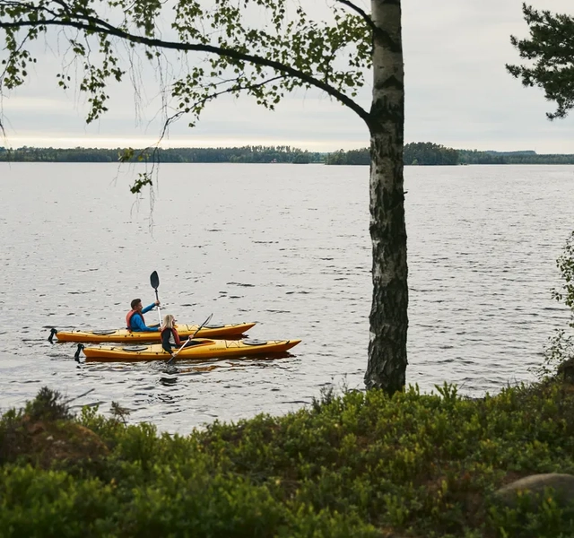 Kajak vid Erikson Cottage