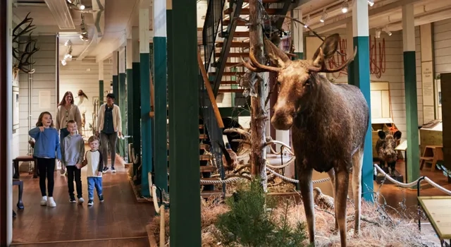 Barn på Kungajaktmuseet Älgens Berg