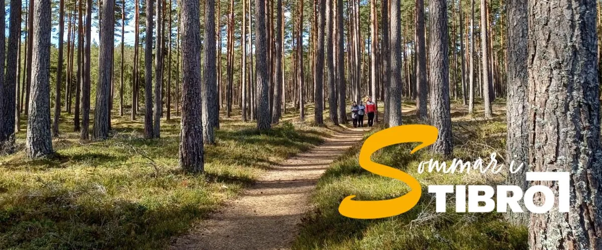 Rankåsdagen