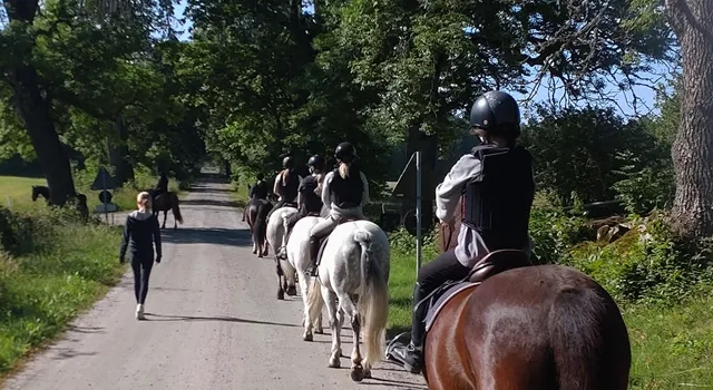 Ungdomar som rider på hästar