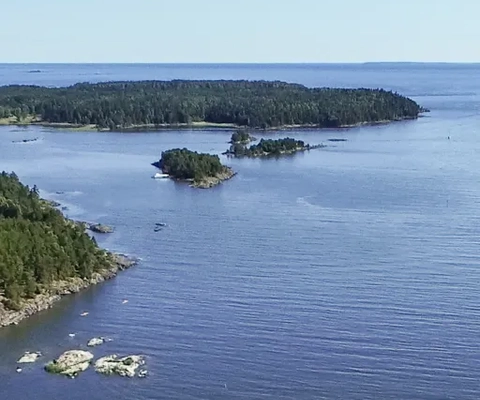 En flygbild av Läckö slott mitt i en sjö.