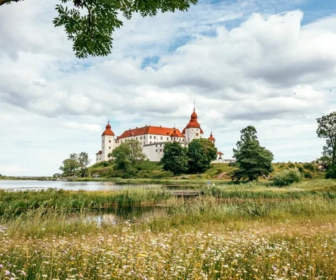 Ett stort vitt slott som ligger på ett grönskande fält.