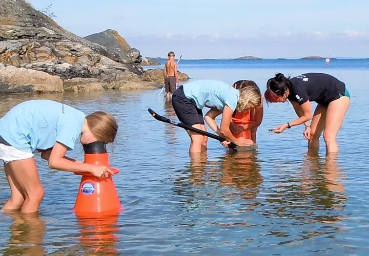 Strandguidning med vattenkikare i Kosterhavets nationalpark.