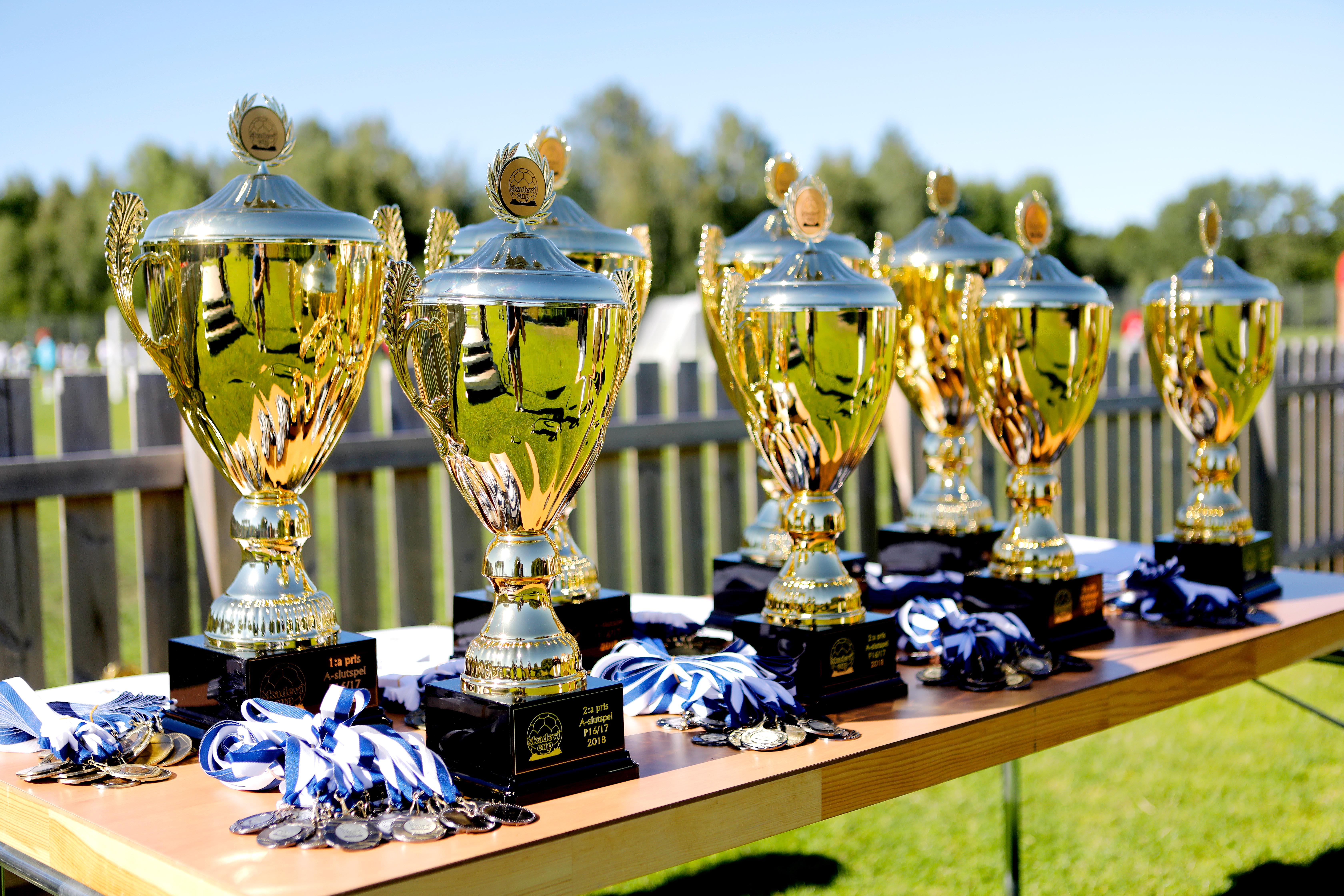 Skadevi Cup fotboll
