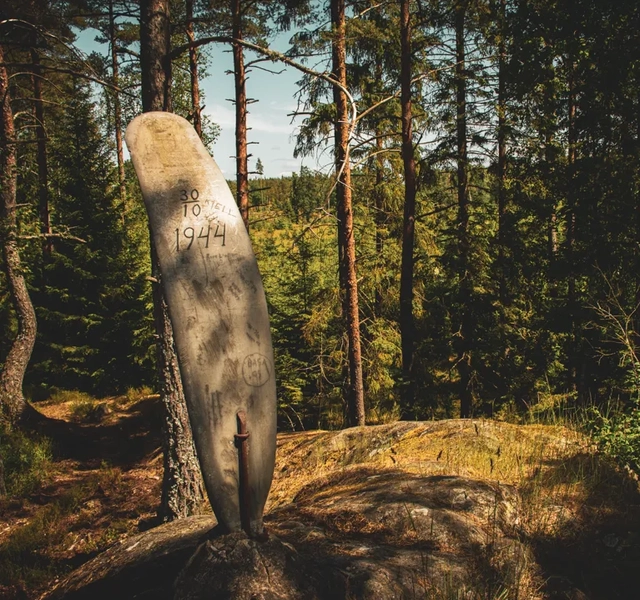 Flygkraschen i Vissla, flygvinge i skogen