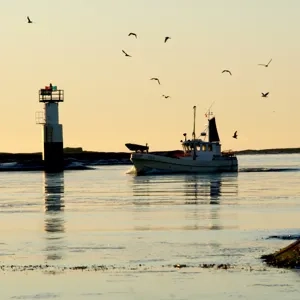 Liten fiskebåt glider fram vid fyr och måsar