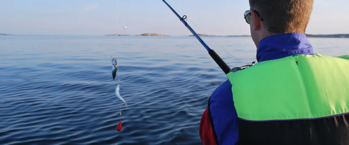 Makrillfiske i Kosterhavet