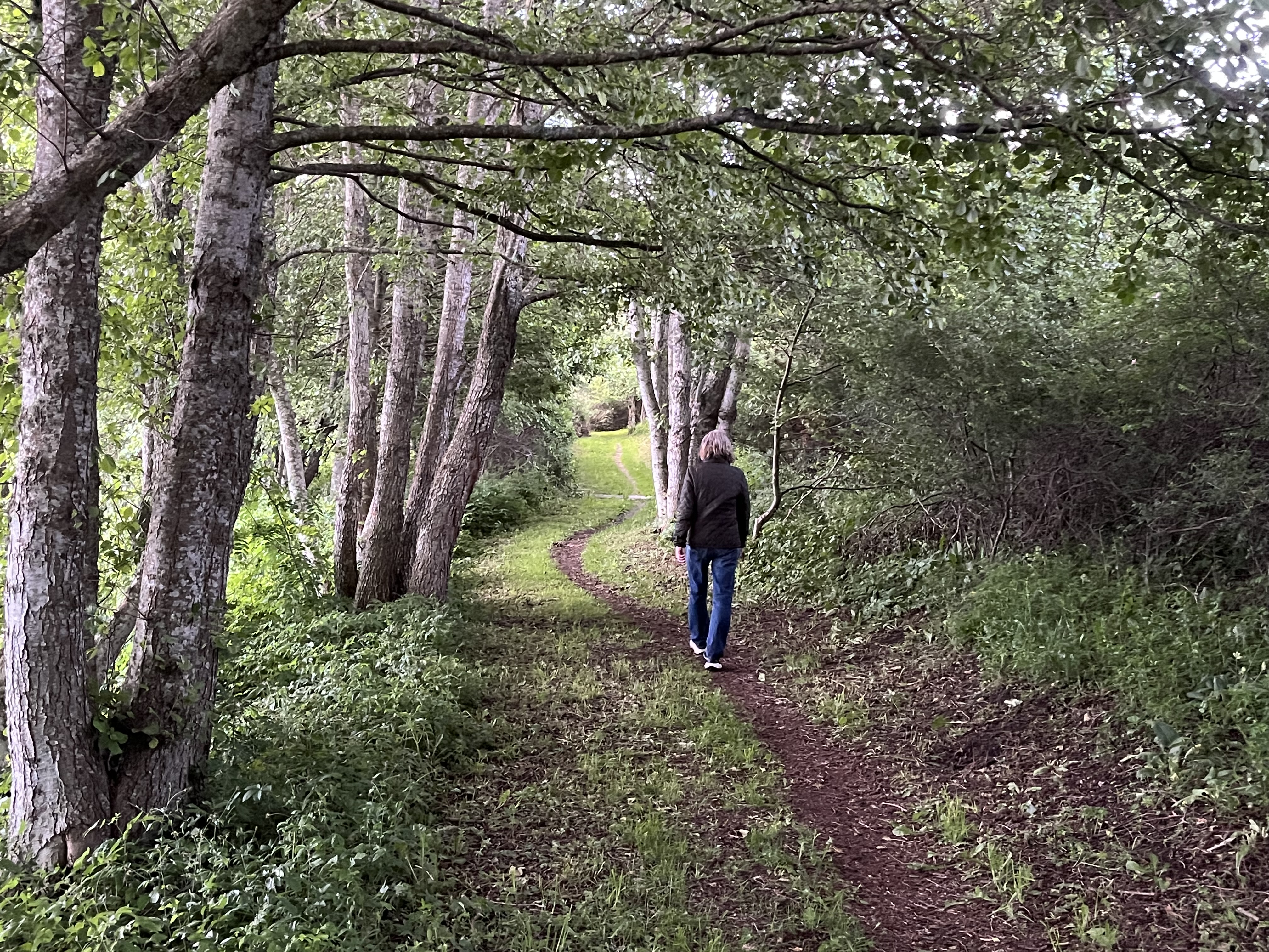 Guidad naturvandring