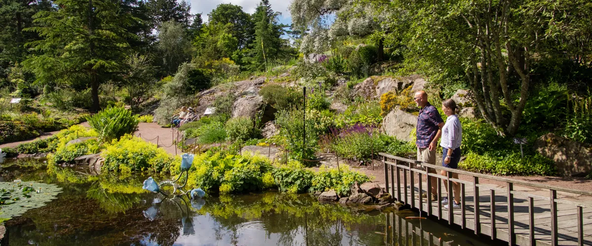 Göteborgs botaniska trädgård