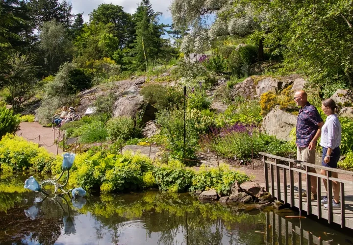 Göteborgs botaniska trädgård